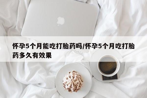 admin 第146页