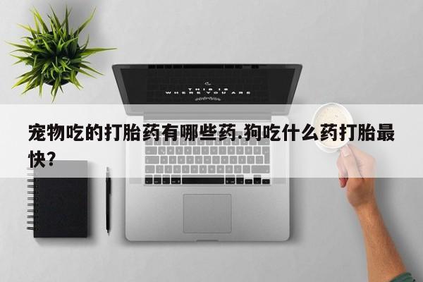 米非司酮打胎药官网宠物吃的打胎药有哪些药.狗吃什么药打胎最快？