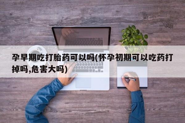 米非司酮打胎药官网孕早期吃打胎药可以吗(怀孕初期可以吃药打掉吗,危害大吗)